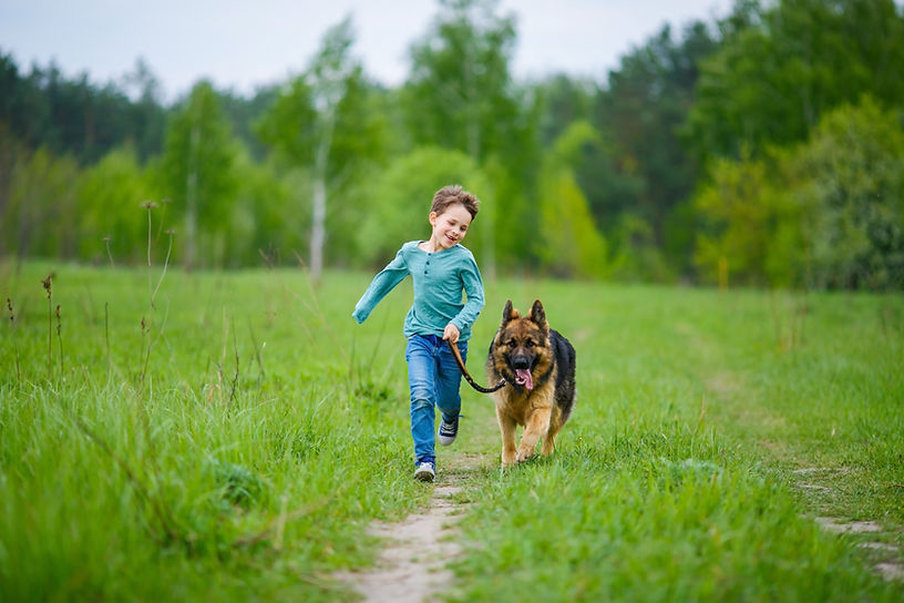 Boy Walking His Dog