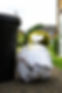 Transparent bag of rubbish beside bin, outdoors
