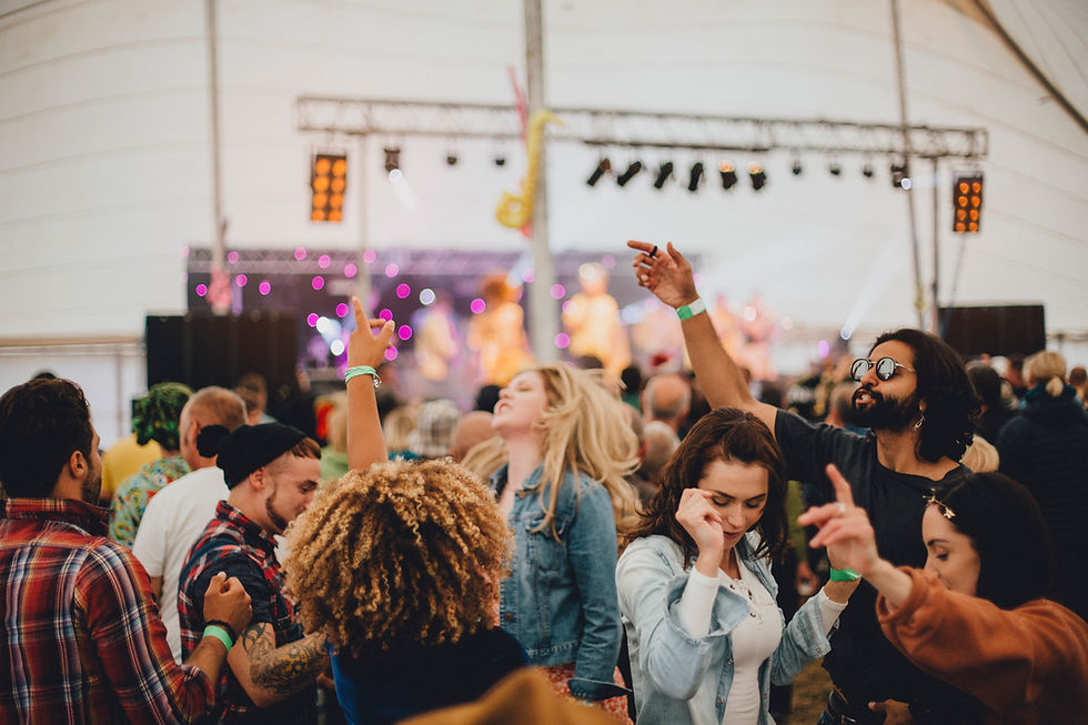 Energetic crowd enjoying a live Afrobeat music festival in Reading