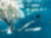Sea Pollution