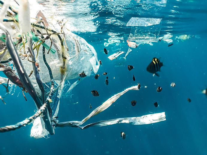 Ocean Pollution Scene