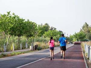 土のアラカルト No.988 1-2-2