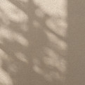 Shadow on Beige Wall