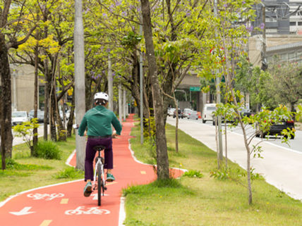 O impacto positivo das bicicletas para o meio ambiente