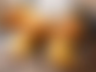 Gedicht van de maand | FEBRUARI