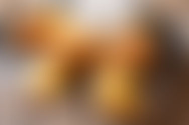 Madeleines Express Tupperware : Un Voyage dans l'Histoire et la Gourmandise de la Pâtisserie França