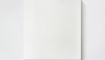 Blank White Canvas
