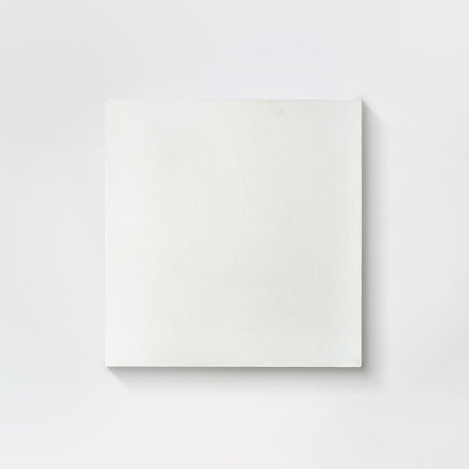 Blank White Canvas