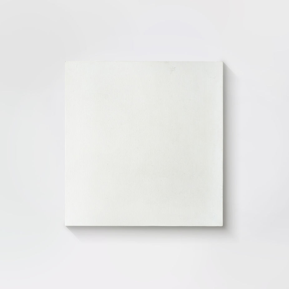 Blank White Canvas