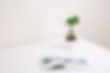 Conseils Organismes de formation