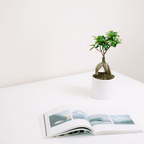 Calculer l'empreinte carbone de votre entreprise peut considérablement valoriser votre image d'entreprise de plusieurs façons.  