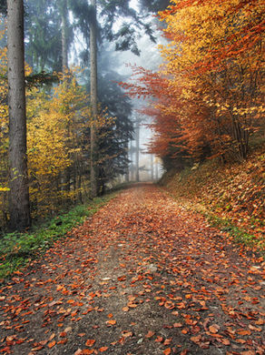 RED AND HAZEL
