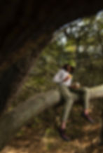 woman eating up a tree
