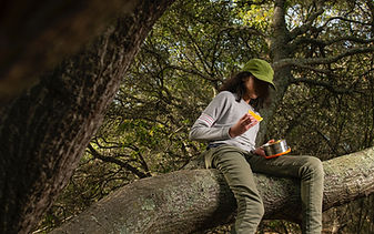 Tree Picnic Moment