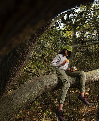 Sitting on Tree Branch