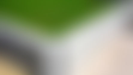 Sınır Dışı Etme