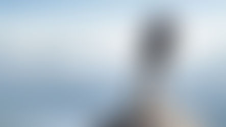 How to Value My Business for Sale: Understanding Your Freedom Number