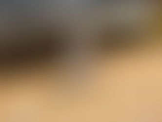 BBAC Holiday Shop, Shop & Champagne