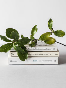 Eines per reconèixer textos generats amb IA