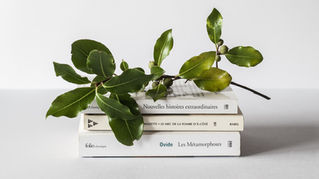 التشاركية في المعرفة!