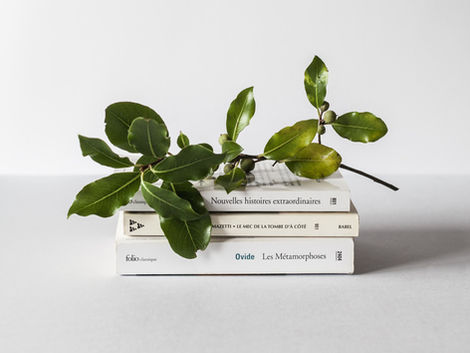 Libros sobre Sostenibilidad