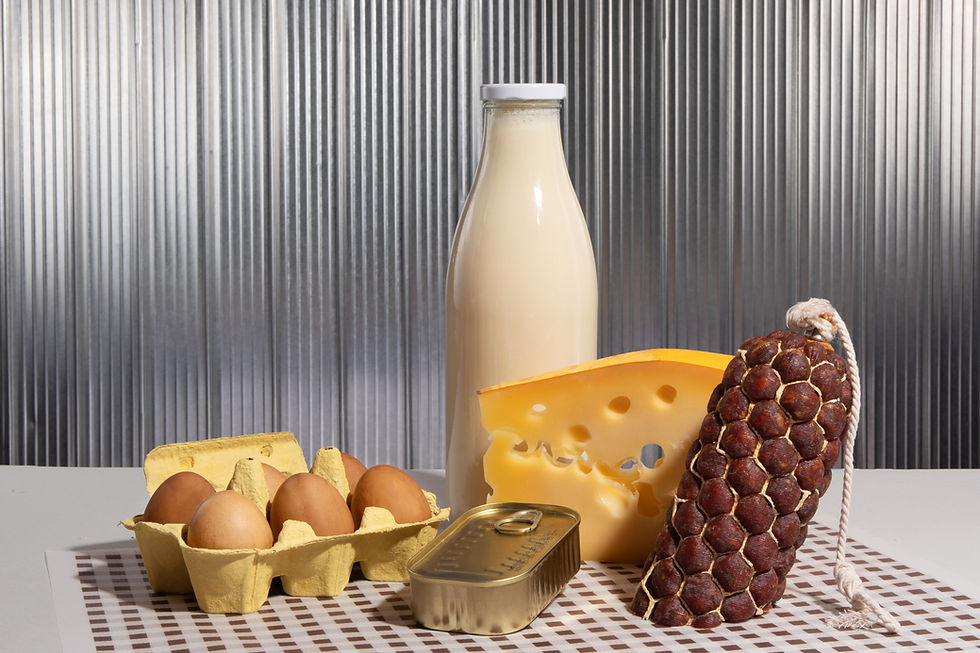 Dairy And Meat Products