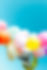 Colorful Balloons Sky