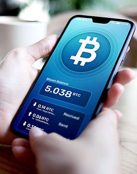 Bitcoin Wallet Display