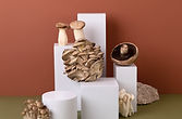 Mushrooms on Stages