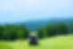 Golf Kart