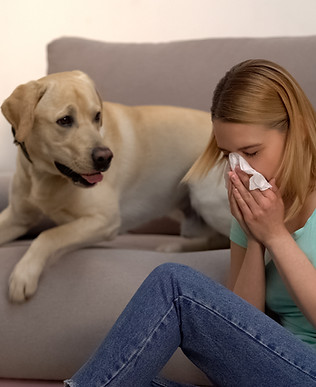 Fur Particles Allergy