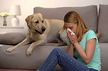 Heuschnupfen  Asthma
