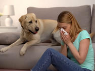 Fur Particles Allergy