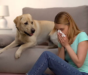 Fur Particles Allergy