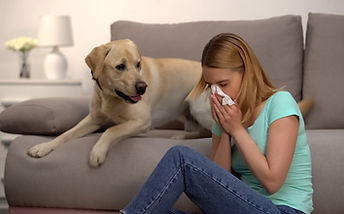 Fur Particles Allergy