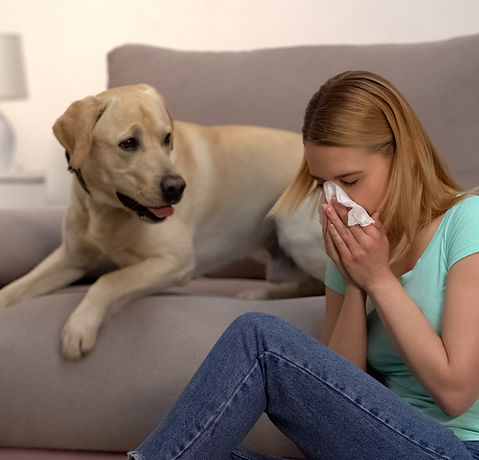 Fur Particles Allergy