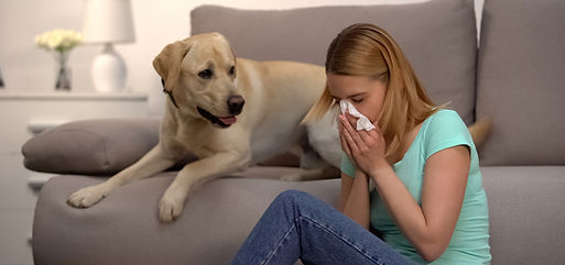 Fur Particles Allergy