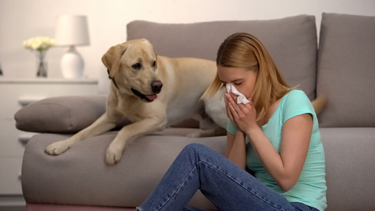Fur Particles Allergy