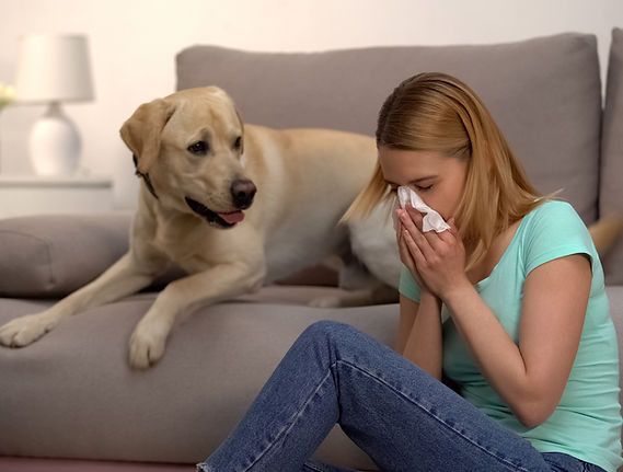 Fur Particles Allergy