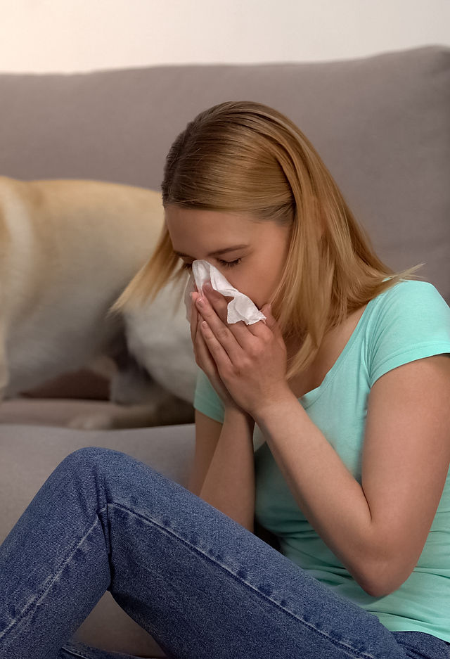 Fur Particles Allergy