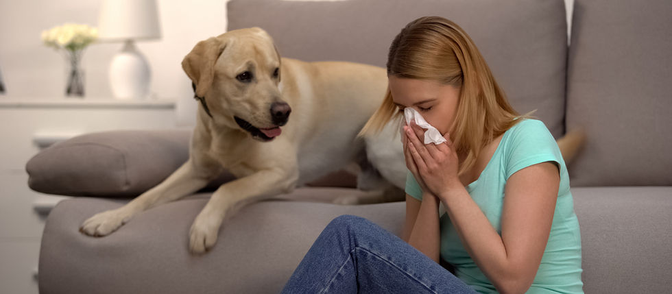 Natural Ways to Strengthen Your Immune System