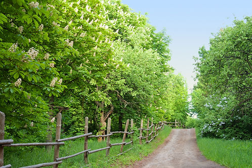Spring
