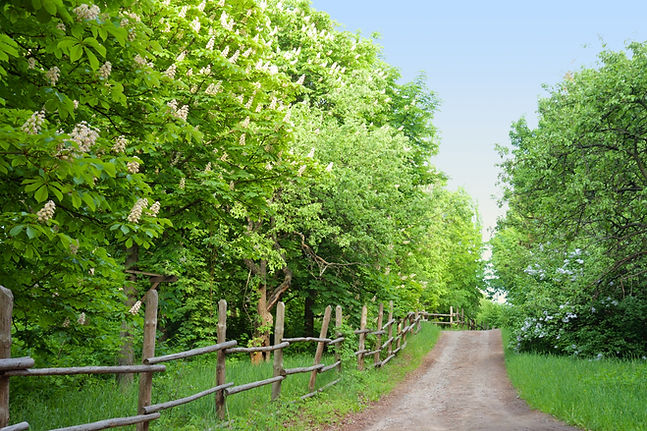 Spring