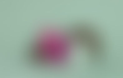 Dwa tytuły do ubezpieczenia w deklaracji ZUS DRA