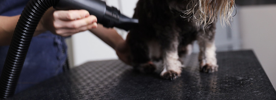 Blow Drying