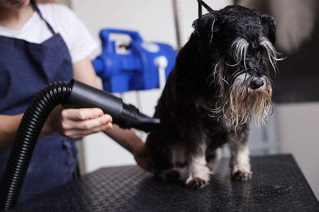 Blow Drying