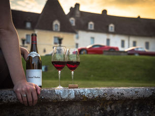 Shari’s Picks® for November!