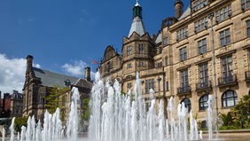 Animal Health Certificate in Sheffield, Doncaster, South Yorkshire
Pet Travel into the EU from Sheffield, Doncaster, South Yorkshire