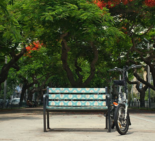 Park Bench
