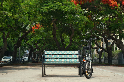Park Bench